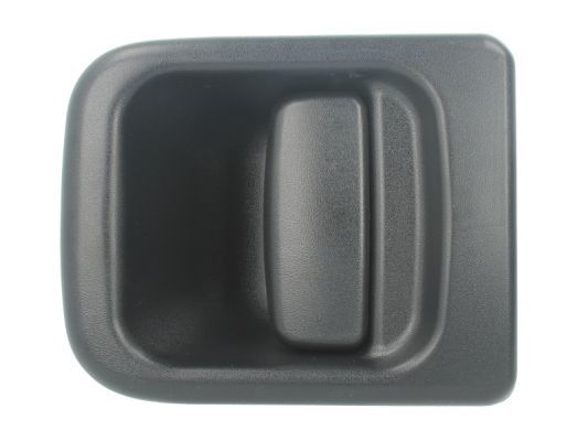BLIC 6010-09-032401P Exterior Door Handle