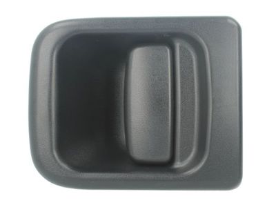 Exterior Door Handle BLIC 6010-09-032401P