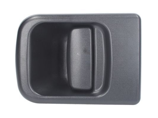 BLIC 6010-09-032417P Exterior Door Handle