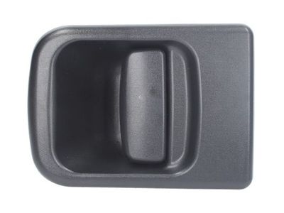 Exterior Door Handle BLIC 6010-09-032417P