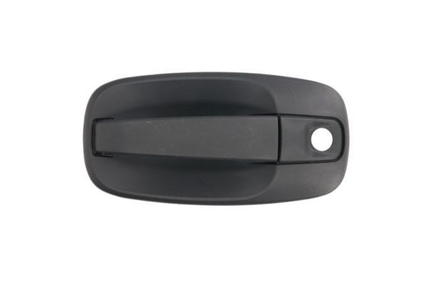 BLIC 6010-09-041401P Exterior Door Handle