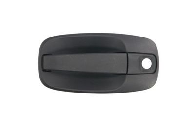 Exterior Door Handle BLIC 6010-09-041401P