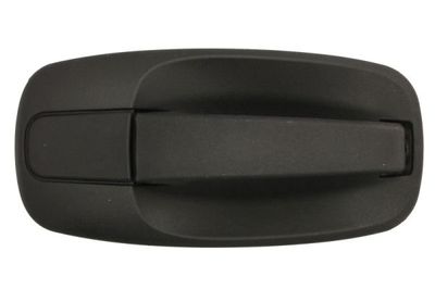 Exterior Door Handle BLIC 6010-09-041410P