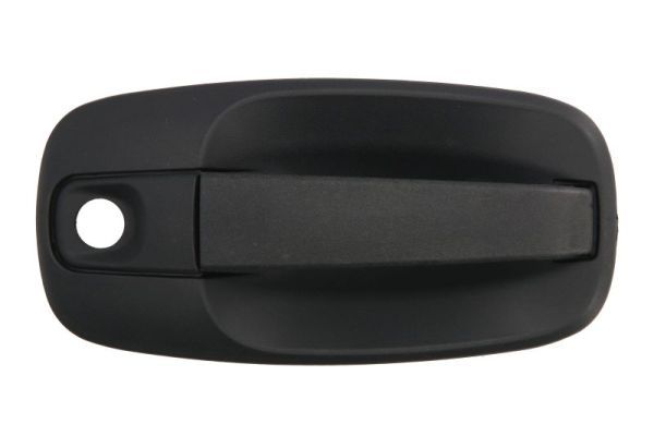 BLIC 6010-09-041410PP Exterior Door Handle