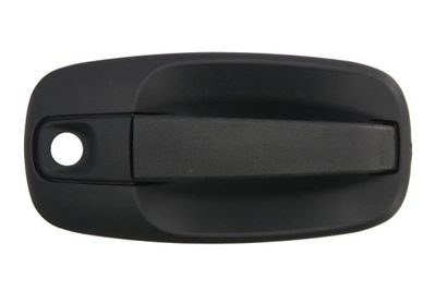 Exterior Door Handle BLIC 6010-09-041410PP