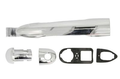 Exterior Door Handle BLIC 6010-09-049405PPC