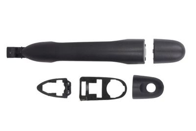 Exterior Door Handle BLIC 6010-09-049407P
