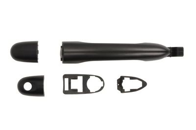 Exterior Door Handle BLIC 6010-09-049407PP