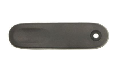 Exterior Door Handle BLIC 6010-09-053417WP