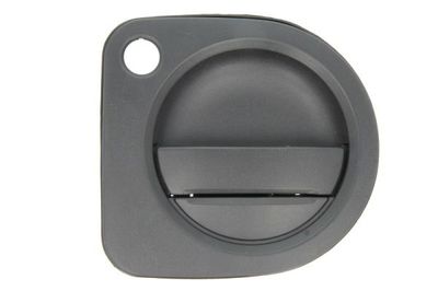 Exterior Door Handle BLIC 6010-09-065401P