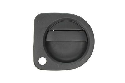 Exterior Door Handle BLIC 6010-09-065402P