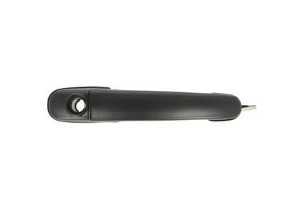 Exterior Door Handle BLIC 6010-10-008401P