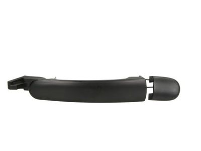 Exterior Door Handle BLIC 6010-10-010402P