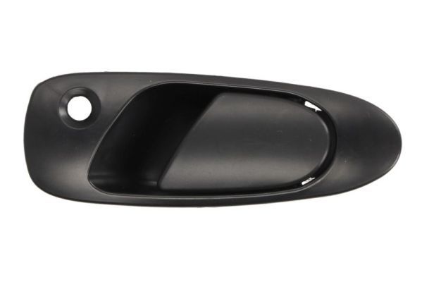 BLIC 6010-12-017401P Exterior Door Handle