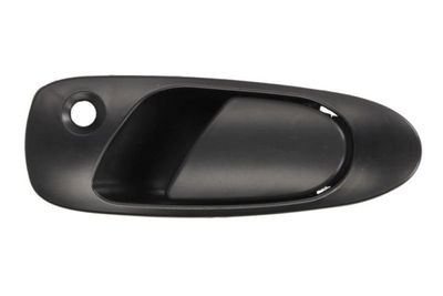Exterior Door Handle BLIC 6010-12-017401P