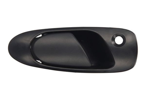 BLIC 6010-12-017402P Exterior Door Handle