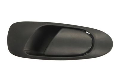 Exterior Door Handle BLIC 6010-12-017403P