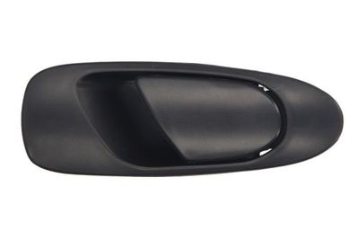 Exterior Door Handle BLIC 6010-12-017404P
