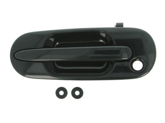 BLIC 6010-12-028401P Exterior Door Handle