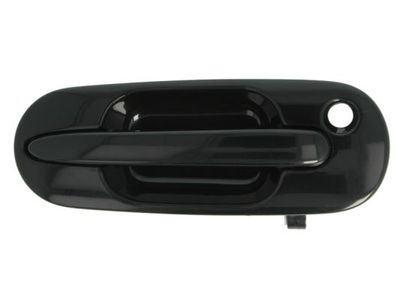 Exterior Door Handle BLIC 6010-12-028402P