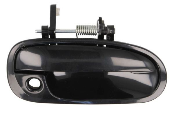 BLIC 6010-12-028402PP Exterior Door Handle