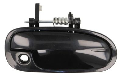 Exterior Door Handle BLIC 6010-12-028402PP