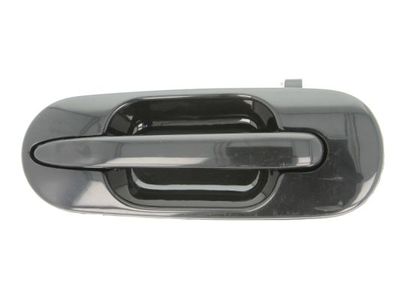 Exterior Door Handle BLIC 6010-12-028403P