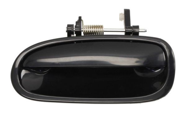 BLIC 6010-12-028403PP Exterior Door Handle