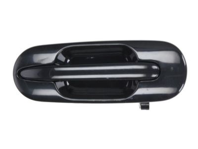 Exterior Door Handle BLIC 6010-12-028404P