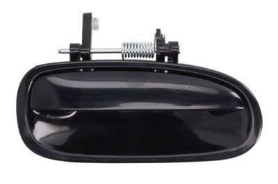 Exterior Door Handle BLIC 6010-12-028404PP