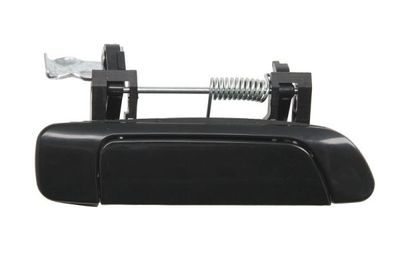 Exterior Door Handle BLIC 6010-12-034404P