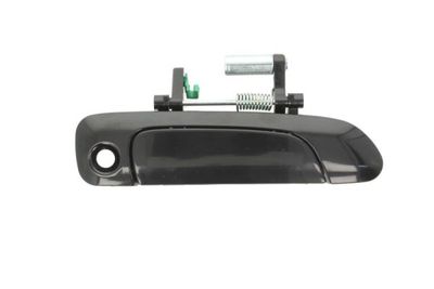 Exterior Door Handle BLIC 6010-12-045402P