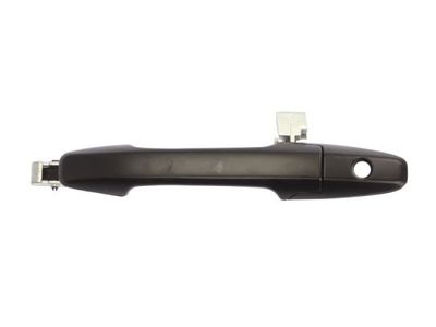 Exterior Door Handle BLIC 6010-12-050401P