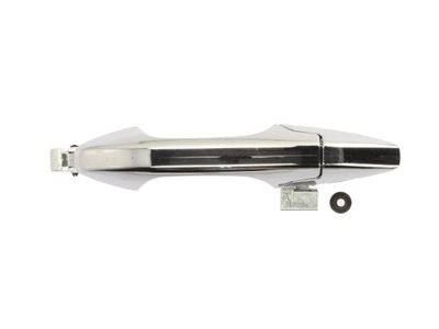 Exterior Door Handle BLIC 6010-12-051402P