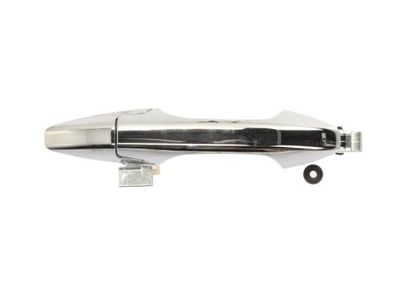 Exterior Door Handle BLIC 6010-12-051403P