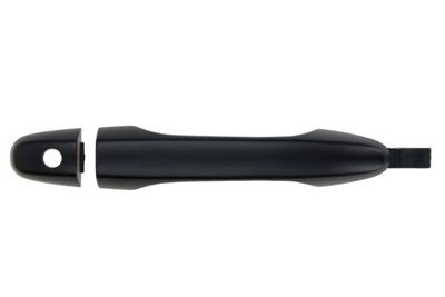 Exterior Door Handle BLIC 6010-12-052401P