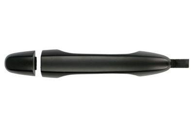 Exterior Door Handle BLIC 6010-12-052402P