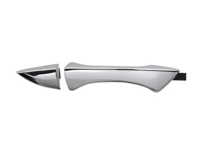 Exterior Door Handle BLIC 6010-12-055402P