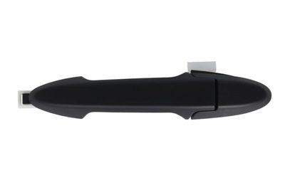 Exterior Door Handle BLIC 6010-12-063401PP
