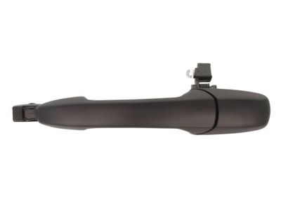 Exterior Door Handle BLIC 6010-14-042403P