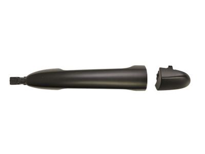 Exterior Door Handle BLIC 6010-14-052402P