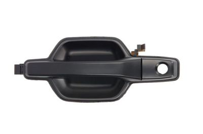 Exterior Door Handle BLIC 6010-15-022401P