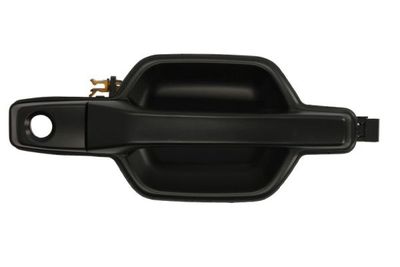 Exterior Door Handle BLIC 6010-15-022402P
