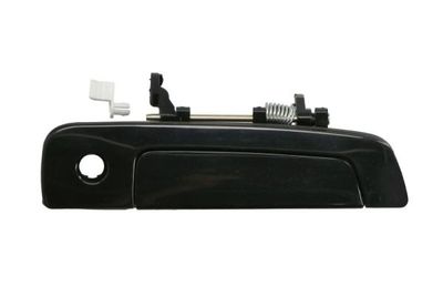 Exterior Door Handle BLIC 6010-15-029402P