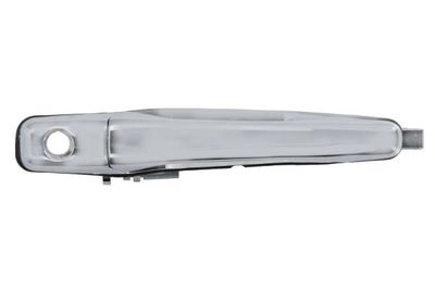 Exterior Door Handle BLIC 6010-15-038401PP