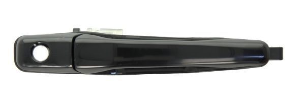 BLIC 6010-15-038402P Exterior Door Handle