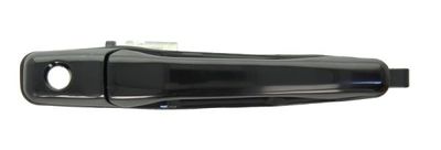 Exterior Door Handle BLIC 6010-15-038402P
