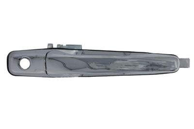 Exterior Door Handle BLIC 6010-15-038402PP