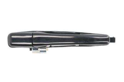 Exterior Door Handle BLIC 6010-15-038403P