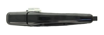 Exterior Door Handle BLIC 6010-15-038404P